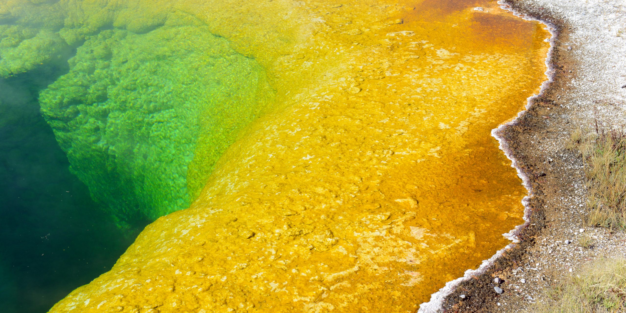 Morning Glory Hot Spring, colored by thermophilic bacteria, Uppe